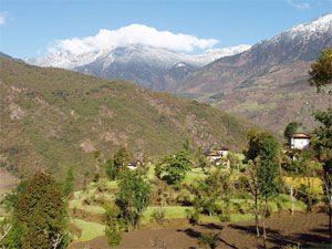 Kalinchowk Trekking